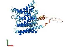 AlphaFold protein structure predicition of Human Recombinant SLC35C1 Protein, UniprotID Q96A29 (SLC35C1 Protein (AA 1-364) (His tag))