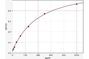 RUNX1T1 ELISA 试剂盒