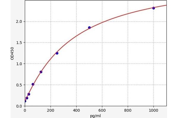 RUNX1T1 ELISA 试剂盒