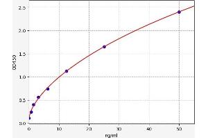 Typical standard curve (CHGB ELISA 试剂盒)