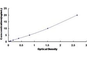 Typical standard curve (HAP1 ELISA 试剂盒)