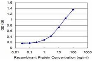 Detection limit for recombinant GST tagged TGM2 is approximately 0. (Transglutaminase 2 抗体  (AA 1-120))