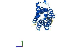AlphaFold protein structure predicition of Human Recombinant TMEM97 Protein, UniprotID Q5BJF2