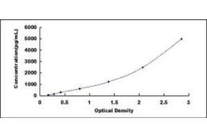 Typical standard curve (PTGER2 ELISA 试剂盒)