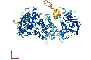 Protein Structure (PS) image for TBC1 Domain Family, Member 24 (TBC1D24) (AA 1-559) protein (His tag) (ABIN7544324)