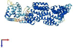 ANAPC5 Protein (AA 1-740) (His tag)