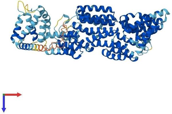 ANAPC5 Protein (AA 1-740) (His tag)