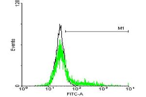 FACS analysis of negative control 293 cells (Black) and IL13RA1 expressing 293 cells (Green) using IL13RA1 purified MaxPab mouse polyclonal antibody. (IL13 Receptor alpha 1 抗体  (AA 1-427))