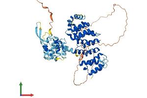 AlphaFold protein structure predicition of Human Recombinant FANCE Protein, UniprotID Q9HB96