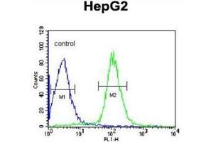 Flow cytometric analysis of HepG2 cells using DIPA Antibody  (right histogram) compared to a negative control cell (left histogram). (CCDC85B 抗体  (Middle Region))