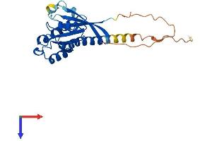 RAB33A Protein (AA 1-237) (His tag)