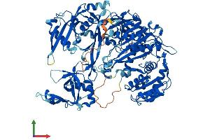 AlphaFold protein structure predicition of Human Recombinant AGO1 Protein, UniprotID Q9UL18