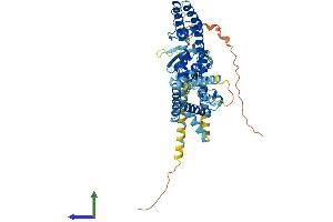 Protein Structure (PS) image for Potassium Voltage-Gated Channel, Subfamily G, Member 4 (Kcng4) (AA 1-506) protein (His tag) (ABIN7558423)