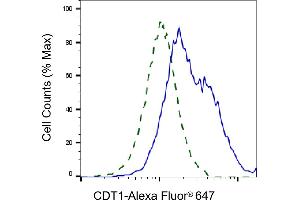Validation of CDT1 knockdown using flow cytometry. (Recombinant CDT1 抗体)