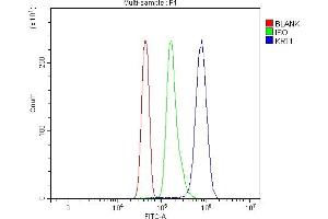 Flow Cytometry analysis of Jurkat cells using anti-Cytokeratin 1/KRT1 antibody (ABIN7600651).