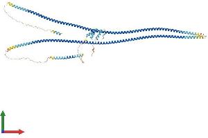 AlphaFold protein structure predicition of Human Recombinant GOLGA1 Protein, UniprotID Q92805