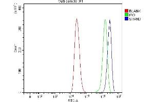 Flow Cytometry analysis of THP-1 cells using anti-STMN3 antibody (ABIN7600886). (Stathmin 3 抗体  (AA 25-156))