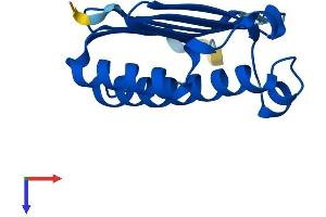 Protein Structure (PS) image for Mago-Nashi Homolog (MAGOH) (AA 1-146) protein (His tag) (ABIN7554570)