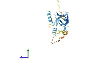 Protein Structure (PS) image for Eukaryotic Translation Initiation Factor 1A Domain Containing (EIF1AD) (AA 1-165) protein (His tag) (ABIN7547417)
