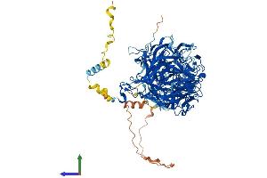 AlphaFold protein structure predicition of Mouse Recombinant Coro7 Protein, UniprotID Q9D2V7 (Coronin 7 Protein (CORO7) (AA 1-922) (His tag))