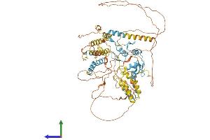 AlphaFold protein structure predicition of Human Recombinant HIC1 Protein, UniprotID Q14526