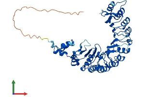 Protein Structure (PS) image for F-Box and Leucine-Rich Repeat Protein 21 (FBXL21) (AA 1-434) protein (His tag) (ABIN7564326)
