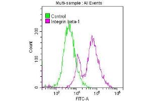 Overlay histogram showing MCF-7 cells stained with ABIN7127584 (red line) at 1:50. (Recombinant ITGB1 抗体)
