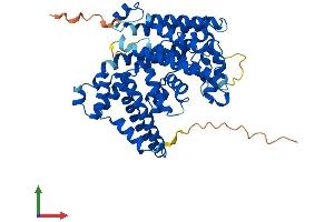 Protein Structure (PS) image for Membrane Bound O-Acyltransferase Domain Containing 1 (MBOAT1) (AA 1-495) protein (His tag) (ABIN7554472)