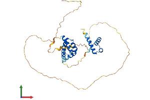 Protein Structure (PS) image for POU Domain, Class 4, Transcription Factor 3 (POU4F3) (AA 1-338) protein (His tag) (ABIN7557803)