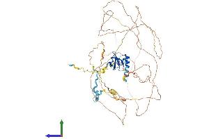 AlphaFold protein structure predicition of Mouse Recombinant Pram1 Protein, UniprotID Q6BCL1