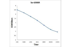 Antigen: 2 µg/100 µL  Primary: Antiserum, 1:500, 1:1000, 1:2000, 1:4000, 1:8000, 1:16000, 1:32000;  Secondary: HRP conjugated Rabbit Anti-Goat IgG at 1: 5000;  TMB staining Read the data in Microplate Reader by 450nm. (BOD1 抗体  (AA 51-150))