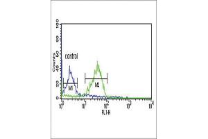 Flow Cytometry (FACS) image for anti-Wingless-Type MMTV Integration Site Family, Member 1 (WNT1) antibody (ABIN3002796)