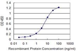 Detection limit for recombinant GST tagged HIPK1 is 0. (HIPK1 抗体  (AA 330-430))