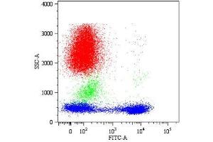 Dot plot Fig. (CD5 抗体  (FITC))