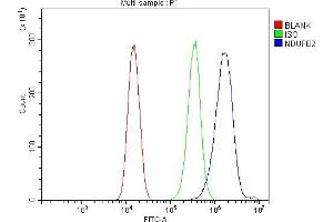 Flow Cytometry analysis of 293T cells using anti-NDUFB2 antibody (ABIN7600162).