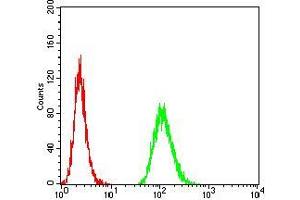 Flow cytometric analysis of MCF-7 cells using MET mouse mAb (green) and negative control (red). (c-MET 抗体  (AA 743-932))