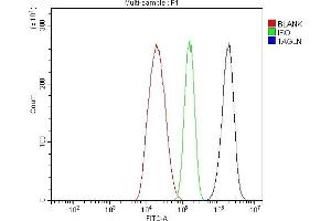 Flow Cytometry analysis of HepG2 cells using anti-TAGLN/Transgelin antibody (ABIN7600099). (Transgelin 抗体  (AA 15-170))