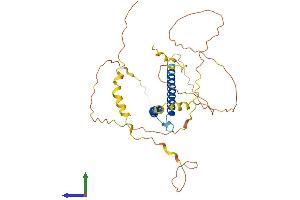 Protein Structure (PS) image for Basic Helix-Loop-Helix Family, Member E22 (BHLHE22) (AA 1-381) protein (His tag) (ABIN7552636)