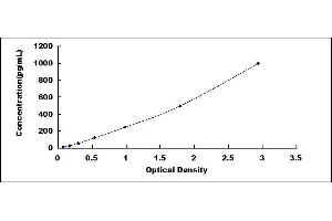 Typical standard curve (CXCL17 ELISA 试剂盒)