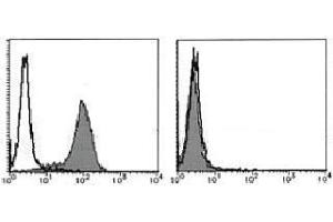 Flow Cytometry (FACS) image for anti-Fas Ligand (TNF Superfamily, Member 6) (FASL) antibody (ABIN1105941) (FASL 抗体)