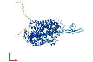 Protein Structure (PS) image for Solute Carrier Family 6 (Amino Acid Transporter), Member 14 (Slc6a14) (AA 1-642) protein (His tag) (ABIN7551629)