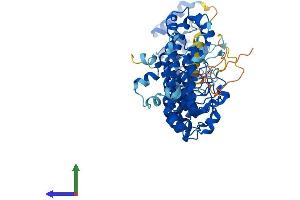 Protein Structure (PS) image for Ankyrin Repeat and SOCS Box Containing 15 (ASB15) (AA 1-588) protein (His tag) (ABIN7552472)