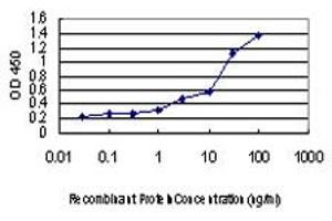 Detection limit for recombinant GST tagged EDN1 is approximately 0. (Endothelin 1 抗体  (AA 113-212))