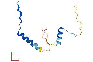 Protein Structure (PS) image for Cell Division Cycle 26 Homolog (CDC26) (AA 1-85) protein (Fc Tag) (ABIN7560315)