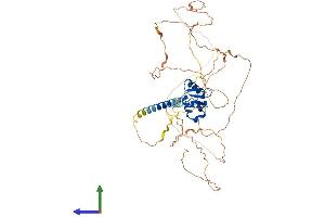 Protein Structure (PS) image for Ets Variant 5 (ETV5) (AA 1-510) protein (His tag) (ABIN7560714)