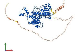 Protein Structure (PS) image for C-terminal Binding Protein 2 (CTBP2) (AA 1-445) protein (His tag) (ABIN7546813)