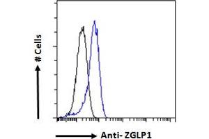 ABIN570846 Flow cytometric analysis of paraformaldehyde fixed K562 cells (blue line), permeabilized with 0. (ZGLP1 抗体  (Internal Region))