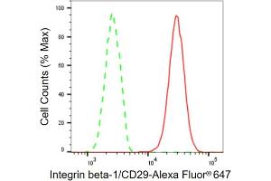 Flow cytometric analysis of Integrin beta-1/CD29 expression in HT- cells using Integrin beta-1/CD29 antibody (ABIN7799067), 1:2,000).