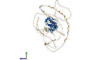 Protein Structure (PS) image for Opioid Growth Factor Receptor (OGFR) (AA 1-633) protein (His tag) (ABIN7560459)