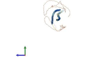 Protein Structure (PS) image for Cytokeratin-2P (KRT76) (AA 1-594) protein (His tag) (ABIN7557291)